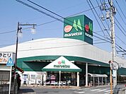 マルエツ伊奈店 1247m