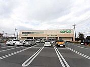 コープ東岩槻店 416m