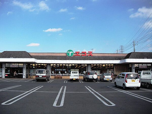 画像24:【スーパー】（株）TAIRAYA 川島店まで1095ｍ