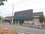 ピーコックストア箕面桜ケ丘店 1369m