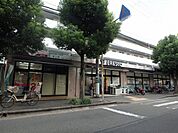 フレスコ桜井店 249m