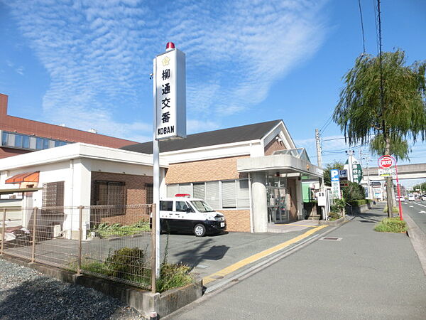 周辺を拡大表示