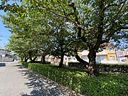 小学校は徒歩約15分圏内で通いやすい立地です。コンビニ、公園徒歩約5分以内でとても便利ですね♪