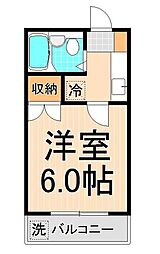 カーサブランカ綾瀬 1Kの間取図画像