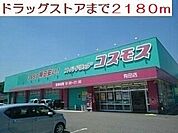 コスモス(2、180m)