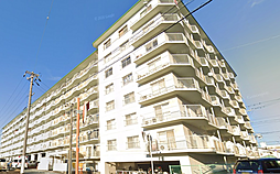 住吉カトレア