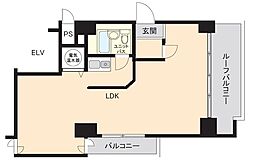 ハイネス北浜 ワンルームの間取図画像