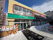 ダイソー コープさっぽろ北12条店　550ｍ