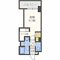ビッグパレス北14条11階5.6万円