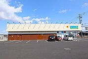 ゲンキー柏森店 730m