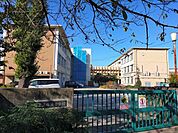 布袋小学校 1400m