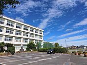 扶桑中学校 1500m