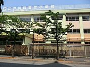 江戸川区立春江小学校 770m