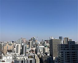 東京スカイツリーを望める開放的な眺望も魅力です。都心ならではのビル群が広がり、夜にはまた違った景色を楽しめそう。家事や仕事の合間のリフレッシュにも。