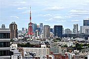 洋室からは東京タワーを望むことができます。都会の洗練された街並みを日々身近に感じられる、贅沢なロケーションです。※眺望は将来にわたって保証するものではありません。
