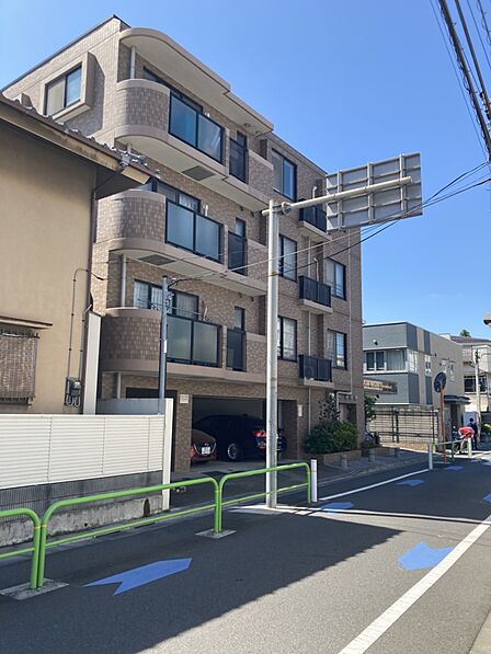 2026年7月撮影