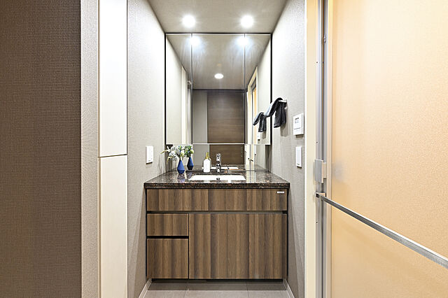 洗面 ザ・パークハウス上野池之端レジデンス 4階/-