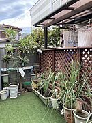 【庭】引っ越しを機にガーデニングを始めても◎季節の花や草木を育てることで、毎日の暮らしがもっと豊かに。アイデア次第で庭の魅力が広がります。