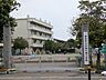 周辺：小学校「野田市立木間ケ瀬小学校まで781m」