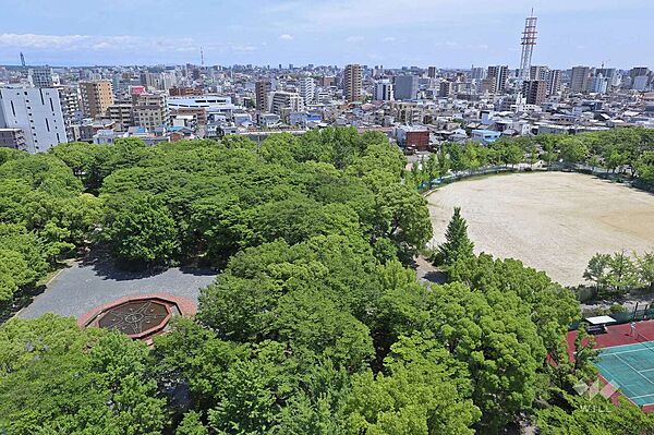 周辺を拡大表示