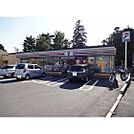 コンビニ「セブンイレブン野田愛宕店まで239m」