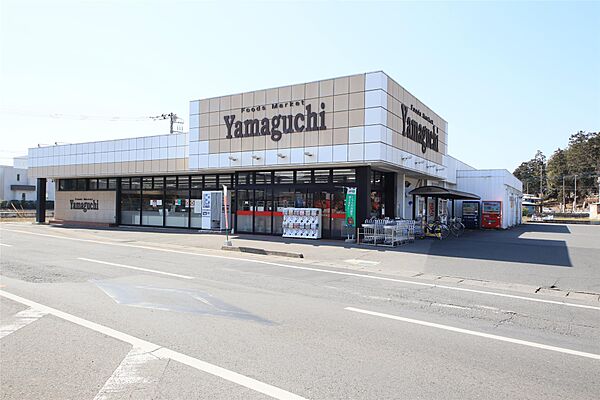画像6:ヤマグチスーパー毛野店(560m)