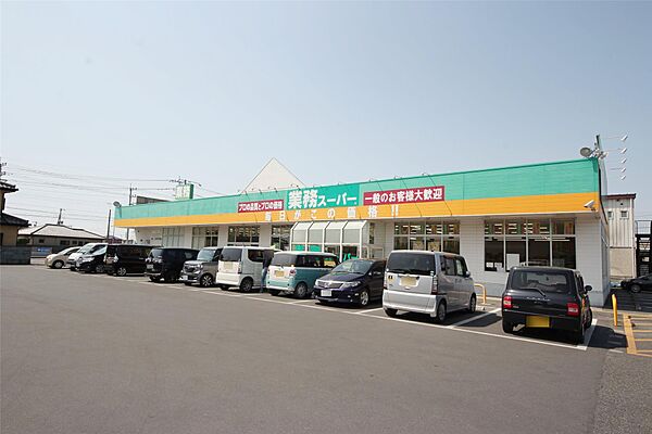 パティール 105｜栃木県足利市堀込町(賃貸アパート1LDK・1階・43.21㎡)の写真 その6