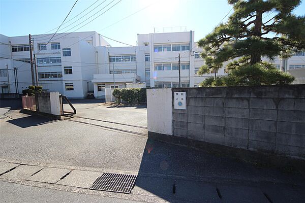 ディアレクス 305｜栃木県足利市鹿島町(賃貸アパート1LDK・3階・40.07㎡)の写真 その3