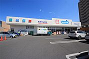 ウエルシア足利朝倉店(703m)