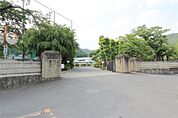 栃木県立足利高校(471m)
