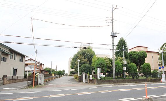 アイランドハイツA_周辺_0