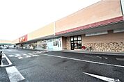 ヤオコー足利八幡店(738m)