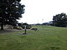 周辺：利保公園（595m）