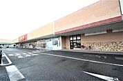 ヤオコー足利八幡店（254m）