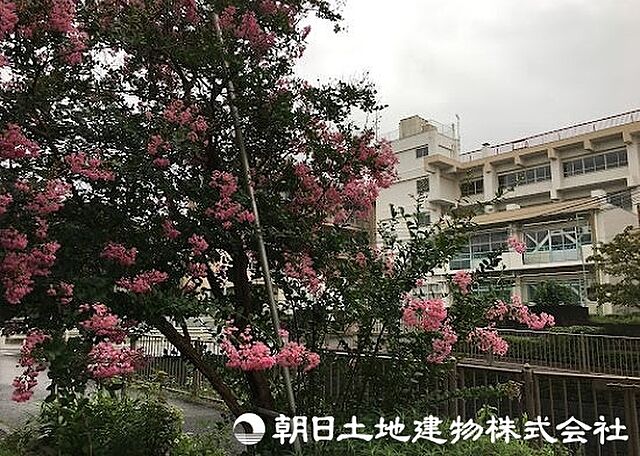 周辺 セントエルモ玉川学園 3階/-