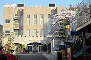 葛飾若草幼稚園まで356m