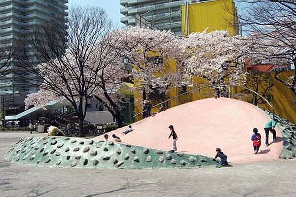 周辺を拡大表示