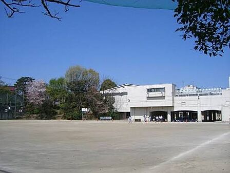 世田谷区立駒沢中学校まで619m