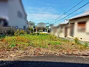 「現地」■現地の様子です。