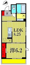 Cradle 1LDKの間取図画像