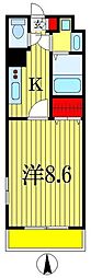 Libear 3階/-