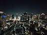 その他：東側夜景
