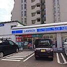 ローソン札幌南9条西八丁目店 259m
