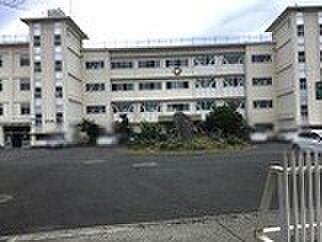 画像18:中学校「富士市立富士南中学校まで2015m」