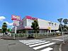 周辺：スーパー「マックスバリュまで520m」