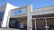 ドラッグストア 「ウエルシア富士今泉店まで522m」