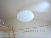 照明