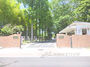 滋賀大学教育学部まで3700メートル