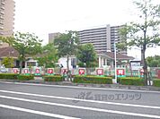 大宝カナリヤ保育園まで550メートル