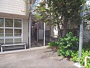 植栽